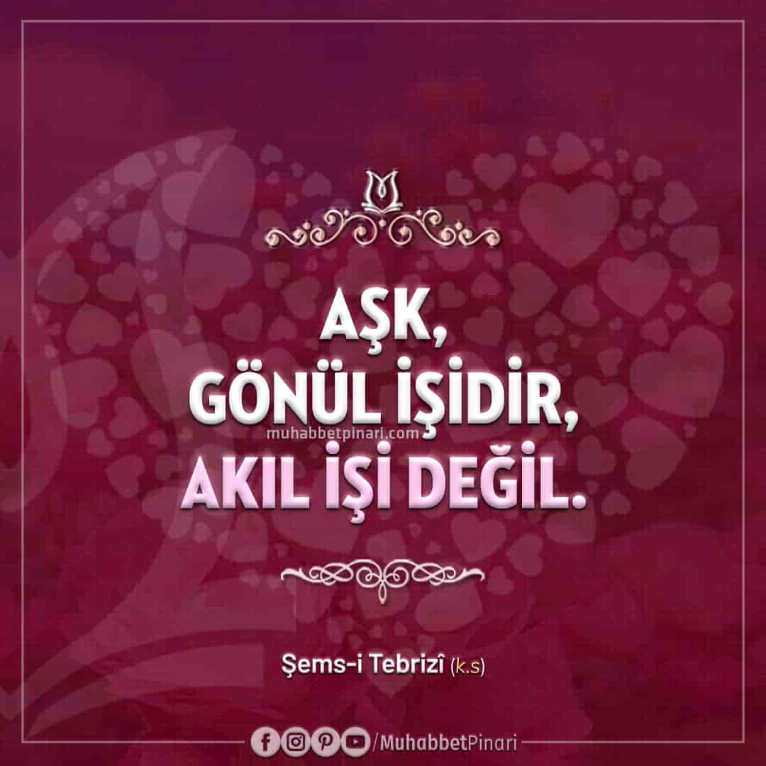 Sosyal Medya Paylaşımlarına Özel Şems-i Tebrizî Sözleri